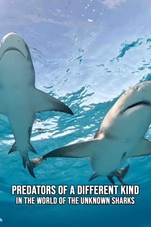 Predators of a Different Kind - In the World of the Unknown Sharks
