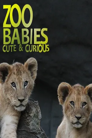 Zoo Babies: Cute and Curious