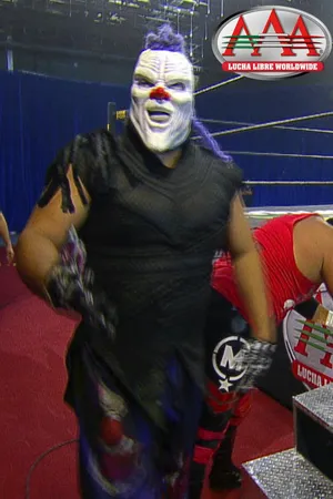 Lucha fighter