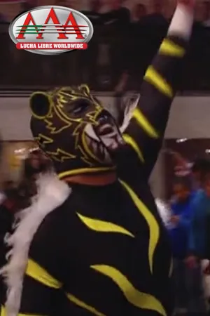Lucha capital