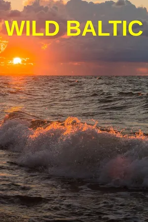 Wild Baltic