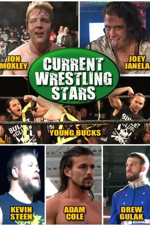 Current Wrestling Stars