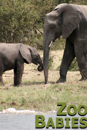 Zoo Babies