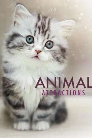 Animal Attractions