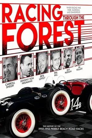 Racing Through The Forest