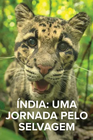 Índia: Uma Jornada Pelo Selvagem
