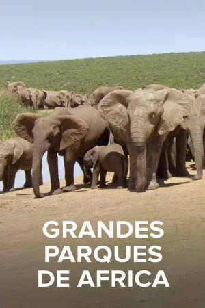 Grandes Parques de Africa