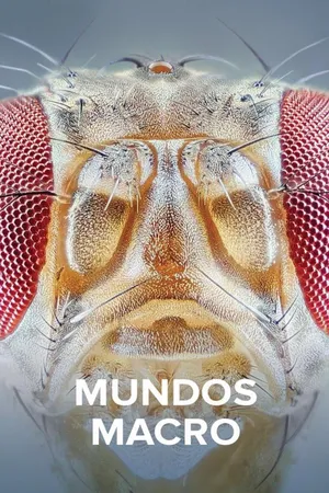 Mundos Macro
