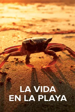 La Vida en la Playa