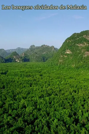 Los bosques olvidados de Malasia