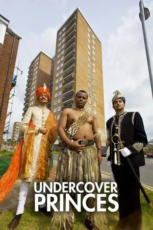 Undercover Princes