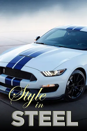 Style In Steel