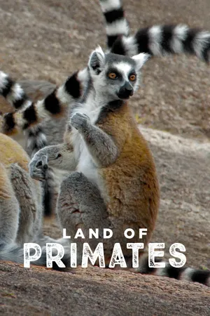 Terra dos Primatas