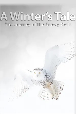 A Winter's Tale - The Journey of the Snowy Owls