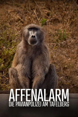 Baboon Bandits - Monkey Alert in South Africa