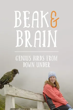 Beak & Brain - Genius Birds from Down Under