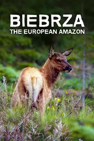 Biebrza - The European Amazon