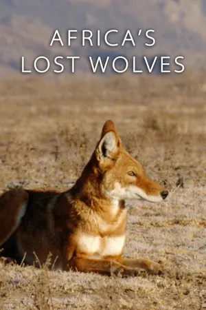 Megeti - Africa's Lost Wolf