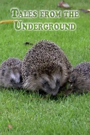 Tales from the Underground