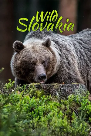 Wild Slovakia