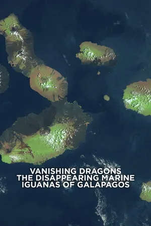 Vanishing Dragons - The Disappearing Marine Iguanas of Galapagos