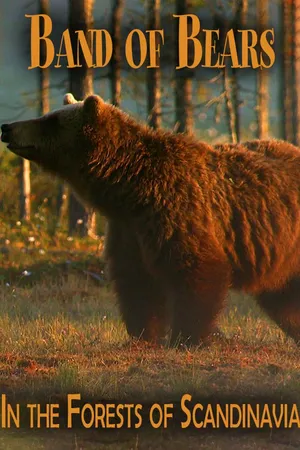 Band of Bears - In the Forests of Scandinavia