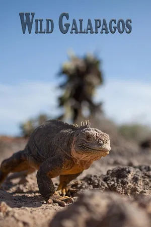 Wild Galapagos