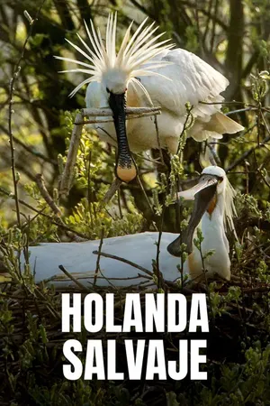 Wild Holland