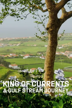 King of Currents: A Gulf Stream Journey