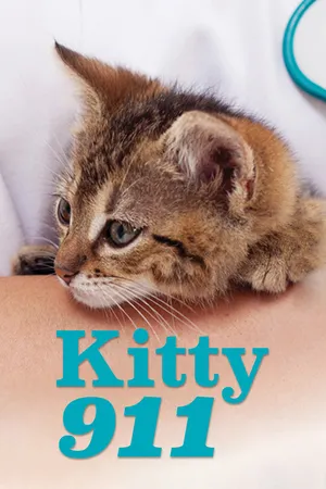 Kitty 911