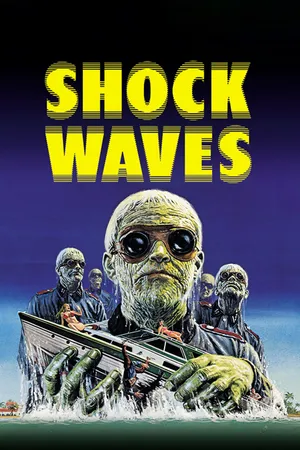 Shock Waves