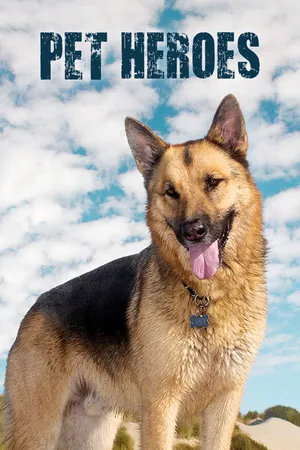 Pet Heroes