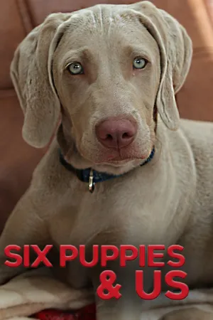 6 Puppies And Us
