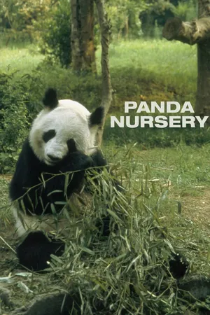 Panda Nursery