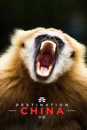 Destino China