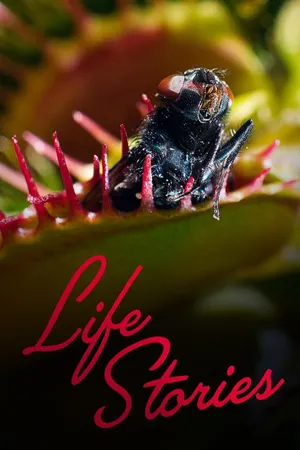 Life Stories