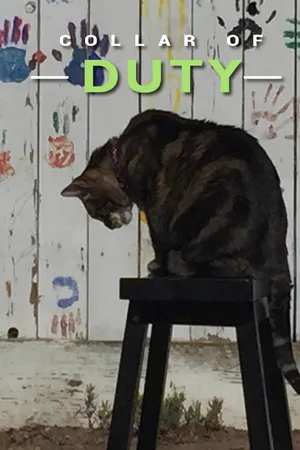 Cães de Terapia