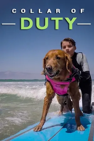 Cães de Terapia