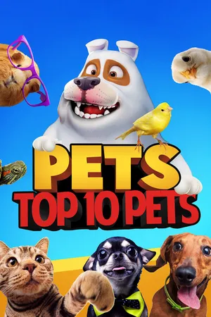 Pets: Top 10 Pets