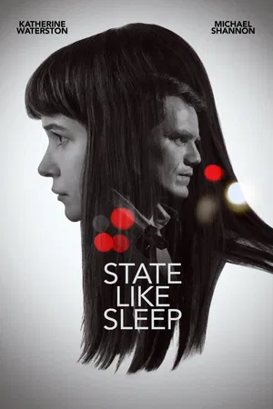 State Like Sleep