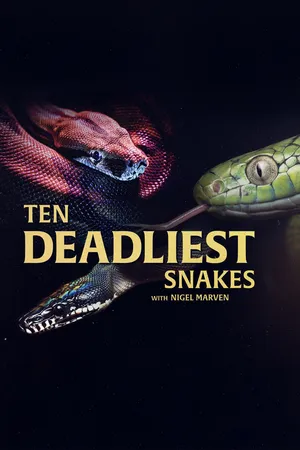 Ten Deadliest Snakes with Nigel Marven