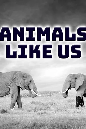 Animals Like Us