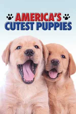 America's Cutest Puppies