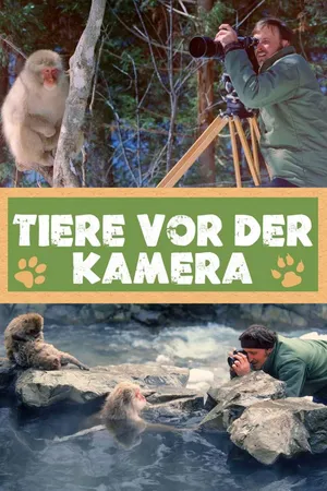 Tiere vor der Kamera
