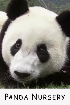 Panda Nursery