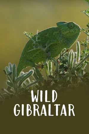 Wild Gibraltar
