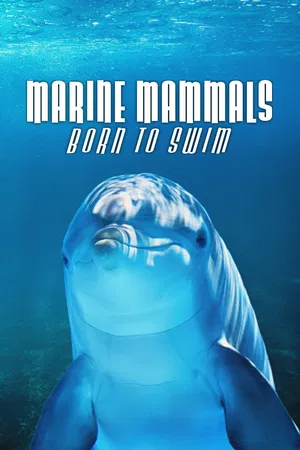 New Life: Born to Swim