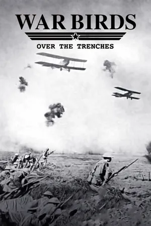 Warbirds Over The Trenches
