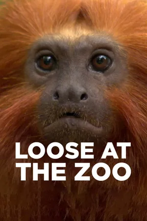 Loose at the Zoo