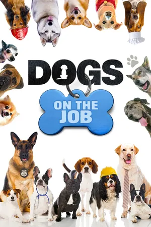 Dogs On The Job